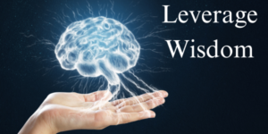 a Glowing Brain Hovers Above an Open Hand, Symbolizing the Fusion of Wisdom and Consulting Practices, with the Text "leverage Wisdom" on a Dark Background.